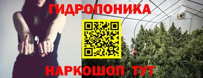 марихуана Гатчина