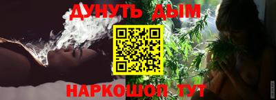 индика Гагарин