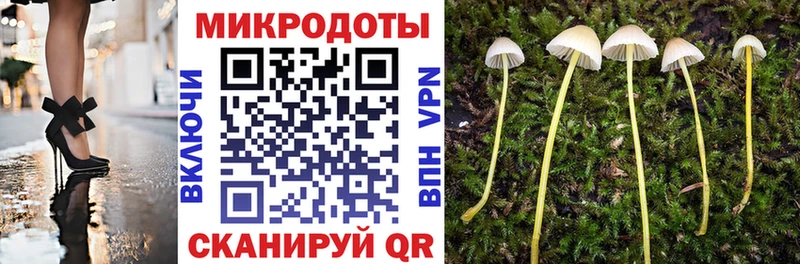 Галлюциногенные грибы Psilocybine cubensis  Кимовск 