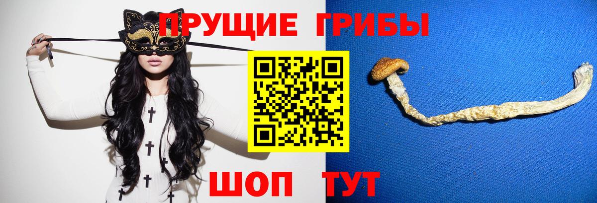 Кимовск  Псилоцибиновые грибы Psilocybe  Вход с VPN 