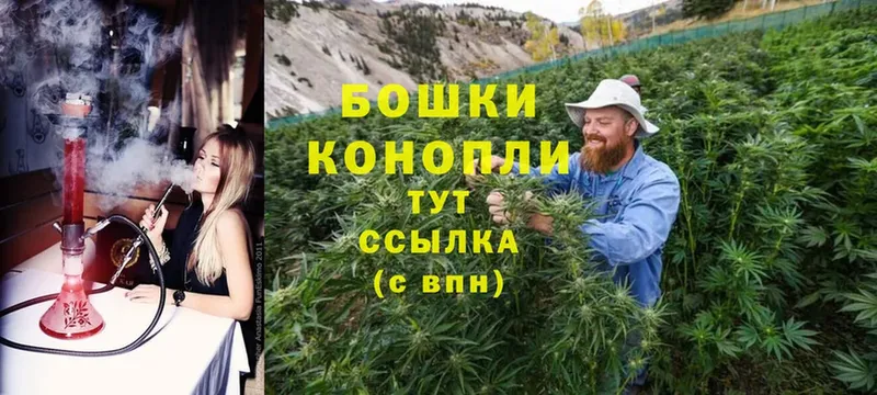 Бошки Шишки индика  Кимовск 